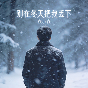 别在冬天把我丢下