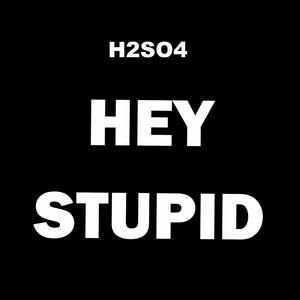 Hey Stupid