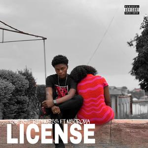 LICENSE (feat. Nsoroma) (Explicit)