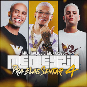 Medleyzin pra elas sentar 4 (Explicit)