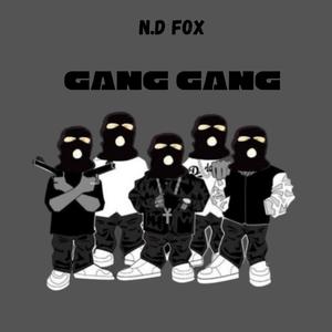 Gang Gang (Explicit)