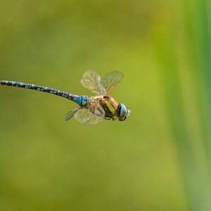 Confused And Feeling