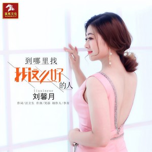 到哪里找我这么好的人 (DJ版)