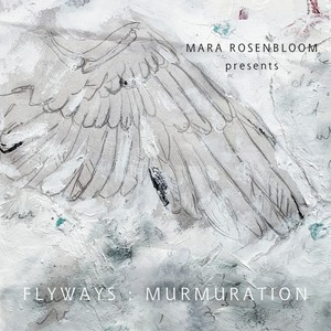 Flyways: Murmuration