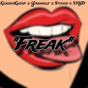 Freak (feat. Yannigzz, Stixks & 510jd) (Explicit)