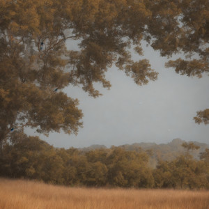 The Whisper of Mountain Snow