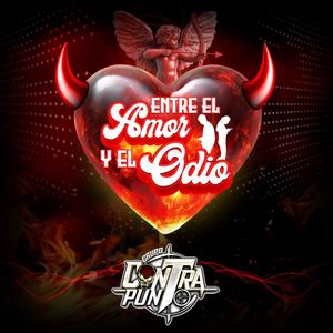 Entre el amor y el odio