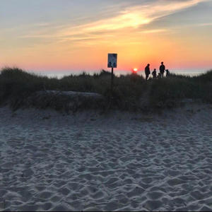 Seek Bromance On The Beach