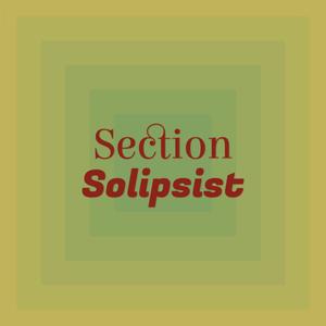 Section Solipsist