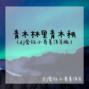 青木林里青木秧 (dj爱玩小哥喜洋羊版)