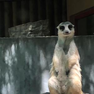 Sleepin' Homies (Explicit)