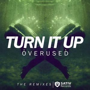 Turn It Up (The Remixes)