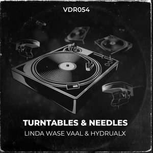 Turntables & Needles