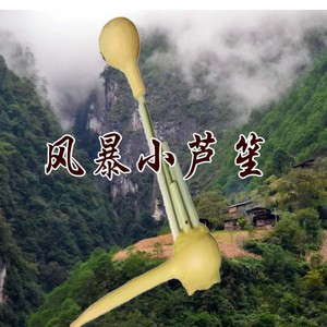 笑笑 - 风暴小芦笙