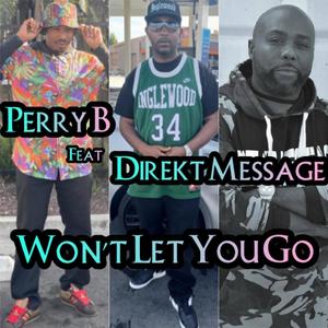 Won't Let You Go (feat. Direkt Message) (Explicit)