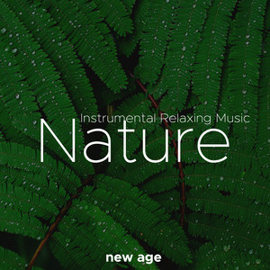 Yoga Meditation Music