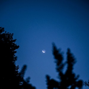 beanie (super slowed)