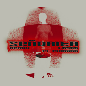 Señorita (Remix)
