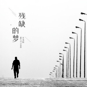 残缺的梦封面