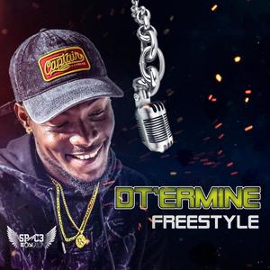 Freestyle (feat. D'termine) (Explicit)