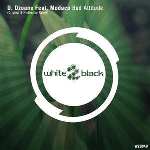 Bad Attitude (Nistirenko Remix)
