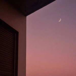 就让我在春风沉醉的夜晚老去