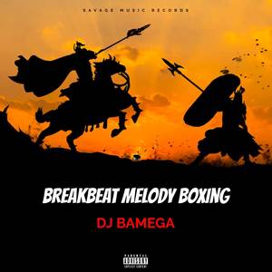 BREAKBEAT MELODY BOXING