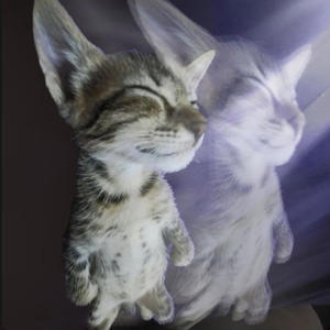 feenin (feat. Dre) (Explicit)