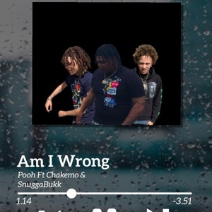 Am I Wrong (Explicit)