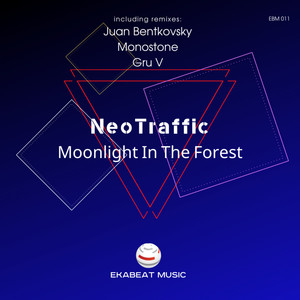 Moonlight (Gru V Remix)