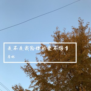 是不是我给你的爱不够多 (伴奏)
