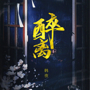 醉离 (DJ王贺版)