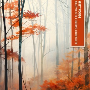 Misty Woods
