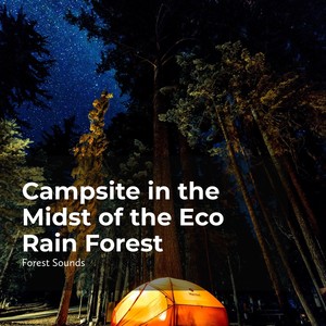 Windswept Tall Trees