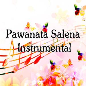 Pawanata Salena Instrumental