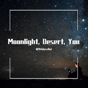 月光，沙漠和你