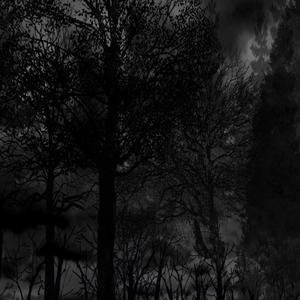 Coldest L1vin (Explicit)