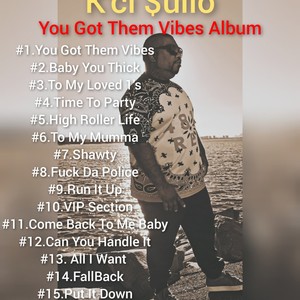 You Got Them Vibes (Explicit)