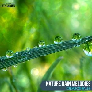 Nature Rain Melodies - Crimson Falls