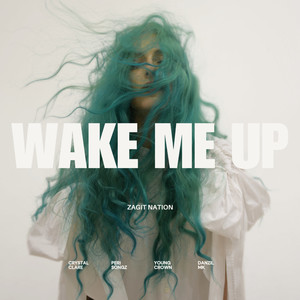 Wake Me Up