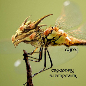 Dragonfly Superpower