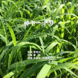 种下一个梦 (Demo)