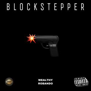 Block Stepper (Explicit)