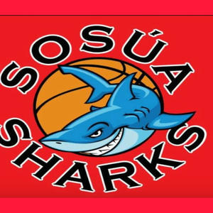 Llegó Sosúa Sharks - Nelson 13