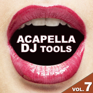 Acapella DJ Tools Vol. 7