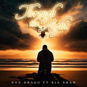 Through The Night (feat. Kia Shaw)