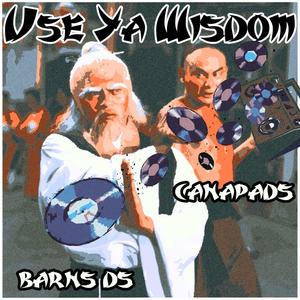 Use Ya Wisdom (feat. DS Barns) (Explicit)