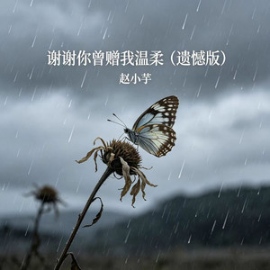 谢谢你曾赠我温柔 (遗憾版)