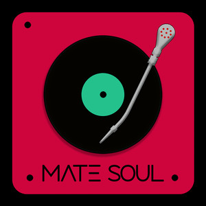 Mate Soul (Explicit)