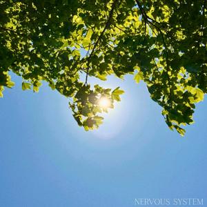 Paty - Nervous System